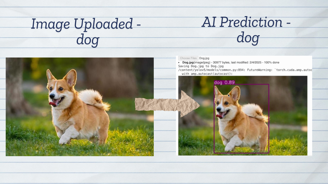 YOLOv5 AI Object Detection - Detects cars, people, animals with Deep Learning